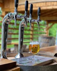 280075716_414055017396065_5537711154042515220_n