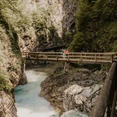 IMG_4446 (1)